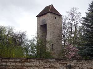 Stadtmauer Bad Langensalza