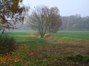 Herbstlandschaft am Wipper-Radweg