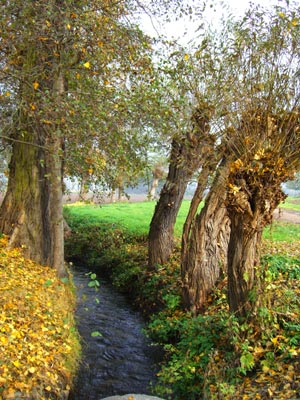 Herbst an der Wipper