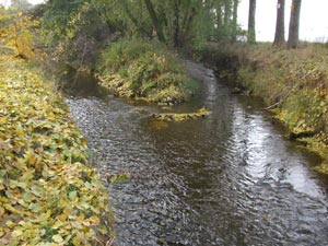 Mündung der Eine in die Wipper