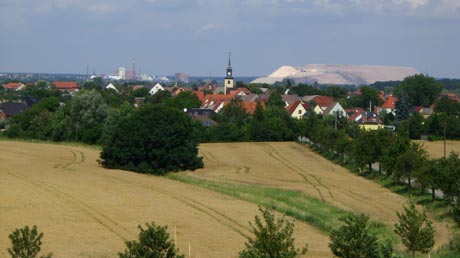 Blick zum Kalimandscharo