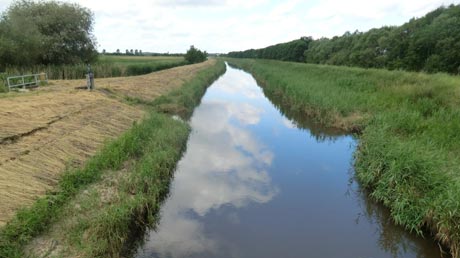 Großer Graben bei Wulferstedt Großer Graben bei Wulferstedt