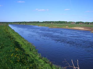 Aller hinter der Leinemündung