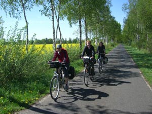 Aller-Radweg Aller-Radweg