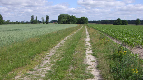 Altmarkrundkurs bei Weißewarte Altmarkrundkurs bei Weißewarte