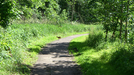 Altmarkrundkurs bei Weißewarte Altmarkrundkurs bei Weißewarte