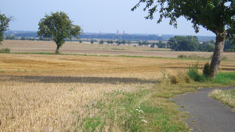 Blick nach Stendal Blick nach Stendal
