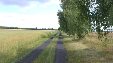 Weg im Dr&ouml;mling