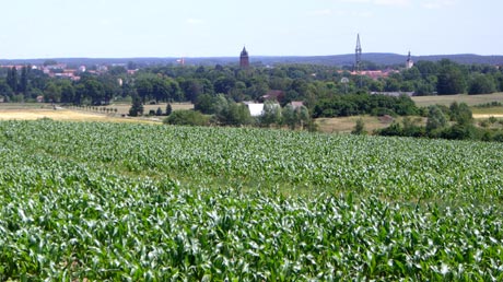 Blick vom Galgenberg auf Gardelegen Blick vom Galgenberg auf Gardelegen