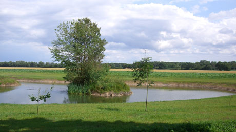 Landschaft in der Altmark