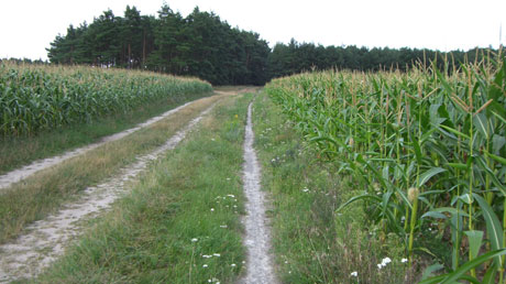 Altmarkrundkurs Altmarkrundkurs