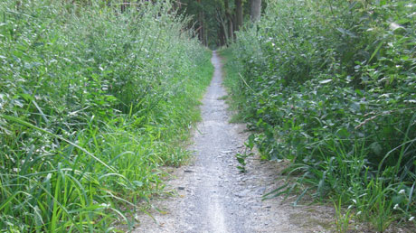 Radweg Parchen Radweg Parchen