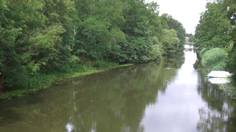 Altkanal in Ro&szlig;dorf