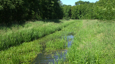 Fluss Tanger Fluss Tanger
