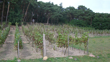 Weinberg Klietznick Weinberg Klietznick