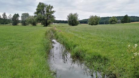 Altmühlquellsee