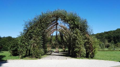 Pflanzen-Kuppel