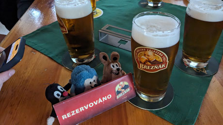 B&rcaron;ez&ncaron;�k in Litom&ecaron;&rcaron;ice Horni Nadra&zcaron;�