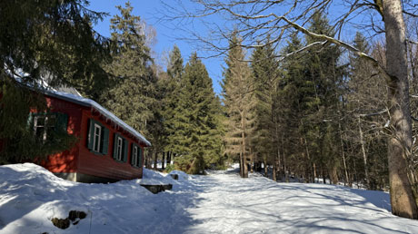 Wanderung durch den Winterwald