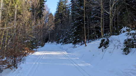 Wanderung durch den Winterwald
