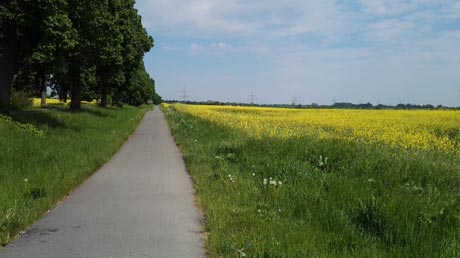 Radweg Radweg