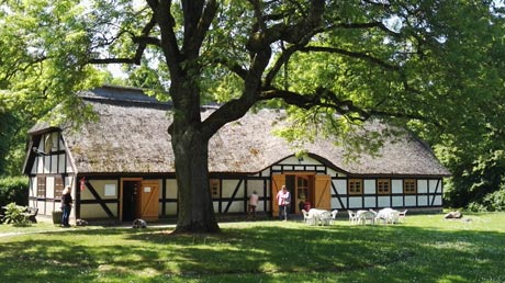 Ankershagen Schliemann Museum Ankershagen Schliemann-Museum