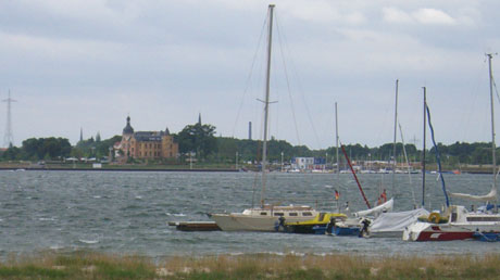 Goitzsche Goitzsche