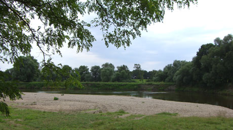 Mulde bei Bad Düben