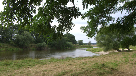 Mulde bei Bad Düben