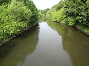 Bode Großgermersleben