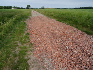 Feldweg Hadmersleben