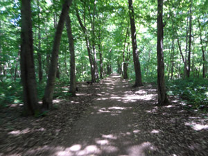 Radweg Neugattersleben