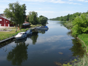 Bode in Nienburg (Saale)