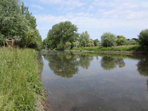 Bode in Rothenförde