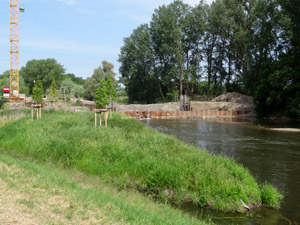 Bode in Rothenförde