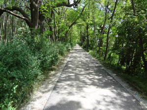 Boderadweg Stassfurt Horst