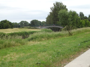 Boderadweg bei Wolmirsleben