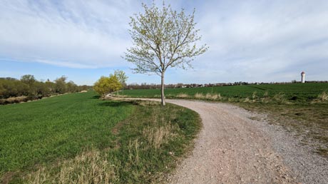 Boderadweg zwischen Löderburg und Gänsefurth Boderadweg zwischen Löderburg und Gänsefurth
