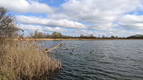 Nordseite Löderburger See Nordseite Löderburger See