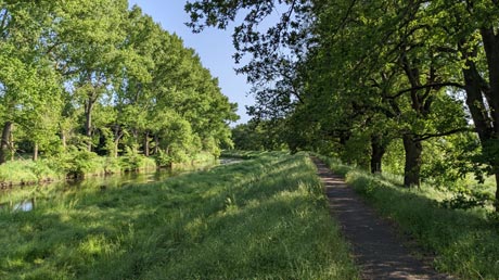 Bode-Radweg Rothenförde-Athensleben