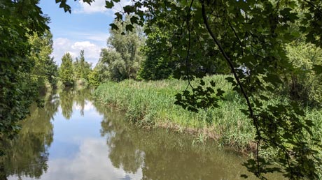 Bode zwischen Unseburg und Rothenförde Bode und Bode zwischen Unseburg und Rothenförde
