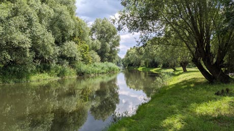 Bode zwischen Unseburg und Rothenförde Bode und Bode zwischen Unseburg und Rothenförde