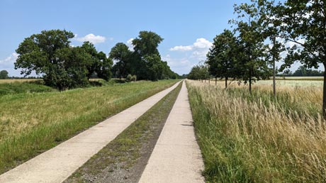 Bode und Boderadweg zwischen Egeln und Wolmirsleben Bode und Boderadweg zwischen Egeln und Wolmirsleben