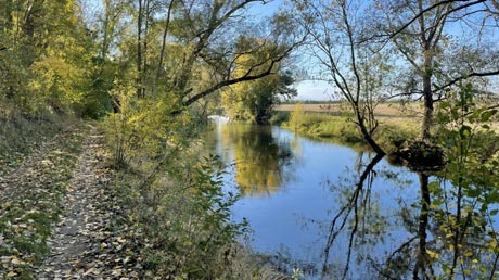 Deesdorf Bode Deesdorf Bode