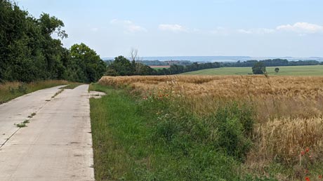 Feldweg nach Etgersleben Feldweg nach Etgersleben