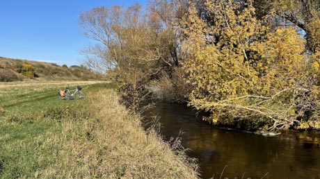 Hedersleben Bode Hedersleben Bode