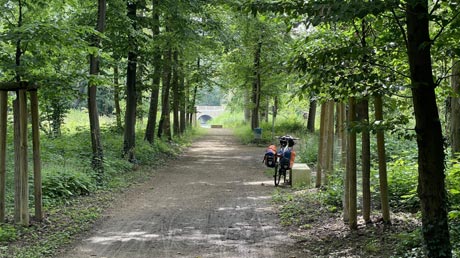 Neugattersleben  Schlosspark