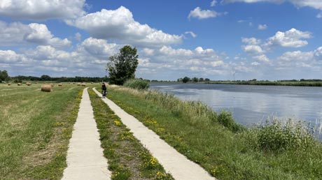 Saaleradweg vor Calbe Saale