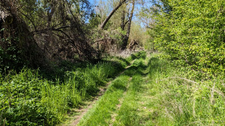 Wiesenweg vor Deesdorf Wiesenweg vor Deesdorf