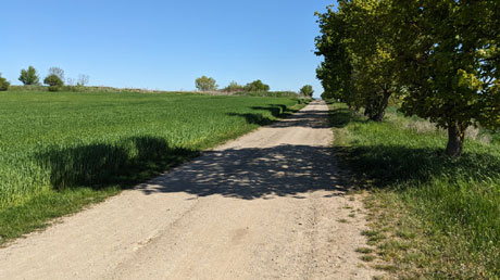 Feldweg von Krottorf nach Hordorf Feldweg von Krottorf nach Hordorf